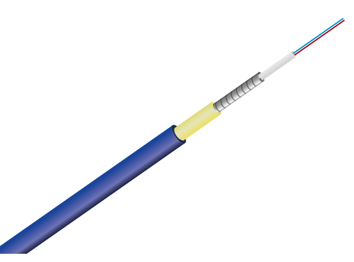 Simplex ArAsotd Fiber: 5 Ultimate Secrets for Indoor Use
